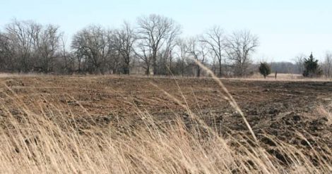 Building a Farm Pond: Day 2 Image